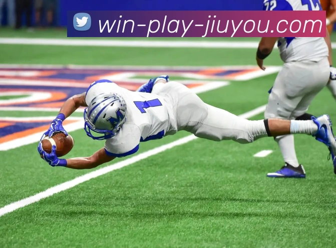 App Interface Preview